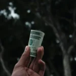 person holding U.S. dollar banknote